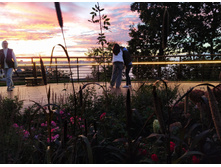 IMG 20240920 181731.jpg