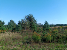 20240908 ��  �������� 143003.jpg