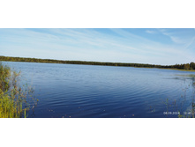 IMG 20240908 124126.jpg