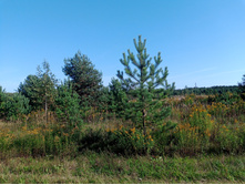 20240908 ��  �������� 143002.jpg