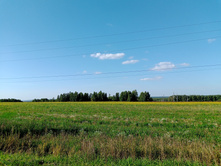 20240901 ������-��ͣ���-��������� 153917.jpg