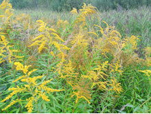 20240824 ������-300 ����� ���������� 080718.jpg