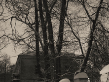 20230306-IMG 2077.jpg