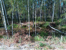 20240914 ������ ���������� 103041.jpg