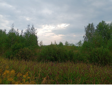 20240824 ������-300 ����� ���������� 080722.jpg