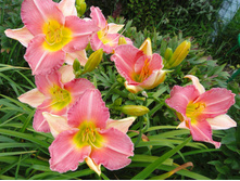 ������ ���  �300