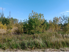 20240914 ������ ���������� 140656.jpg