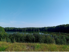 20240908 ��  �������� 133833.jpg