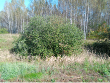 20240914 ������ ���������� 123307.jpg