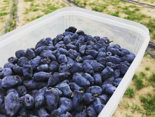 ��������� �������� ����� �9.jpg