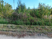 20240914 ������ ���������� 140658.jpg