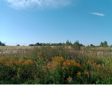 20240914 ������ ���������� 095827.jpg