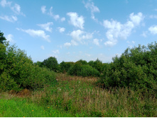 20240824 ������-300 ����� ���������� 111301.jpg