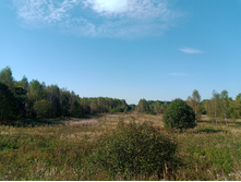 20240914 ������ ���������� 101747.jpg