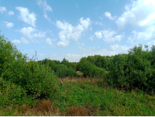 20240824 ������-300 ����� ���������� 111302.jpg