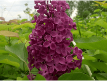 ������ ���� ���� �9.png