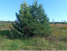 20240908 ��  �������� 143000.jpg