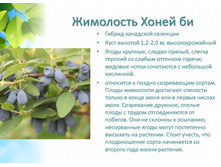 ����� ��+24�