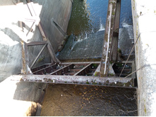 20240922 5 ������� 142230.jpg