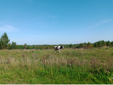 20240914 ������ ���������� 125756.jpg