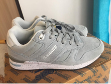 36 ����������� ����� Sigma ���������