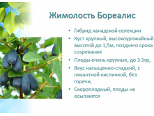 ��������+24�