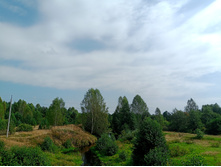 20240824 ������-300 ����� ���������� 113706.jpg