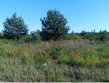 20240908 ��  �������� 142953.jpg