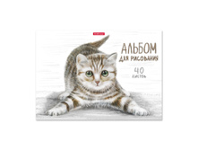 49844 ������ ��� ��������� �� ���� ErichKrause Tabby, �4, 40 ������ ���� 134+% � ������� 7 ��.jpg