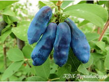 ��������� ������� ����� �9.jpg