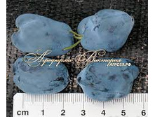 ��������� �������� ��������� �9.jpg