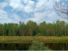 20240824 ������-300 ����� ���������� 103557.jpg