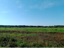 20240914 ������ ���������� 112134.jpg