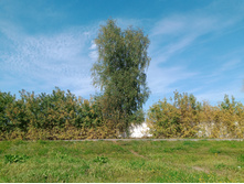 20240914 ������ ���������� 130756.jpg