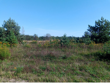 20240908 ��  �������� 143001.jpg