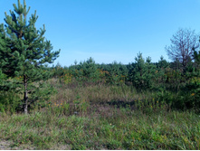 20240908 ��  �������� 142950.jpg