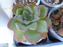 DSC08841.JPG Riga - 250