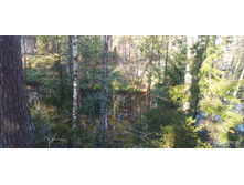 IMG 20241013 121100.jpg