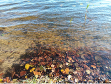 20241013 ��������� ��������� 150501.jpg