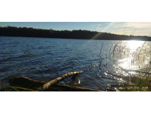 IMG 20241013 145446.jpg