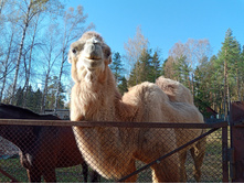 20241013 ��������� ��������� 115013.jpg