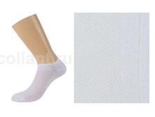 ������ Cotone1101 �����.JPG