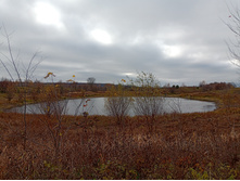 20241026 ��-��������� �������� 130850.jpg