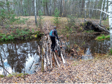 20241026 ��-��������� �������� 110544.jpg