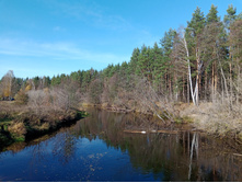 20241013 ��������� ��������� 122627.jpg