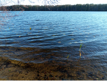 20241013 ��������� ��������� 150508.jpg