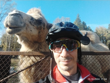 IMG 20241013 115423.jpg