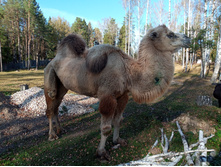 20241013 ��������� ��������� 115842.jpg