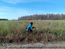 20241013 ��������� ��������� 132643.jpg