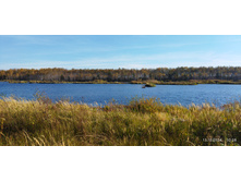 IMG 20241013 105851.jpg